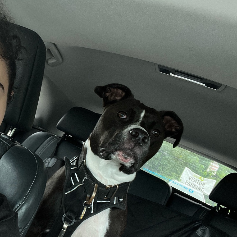 Meet your Posher, Macy